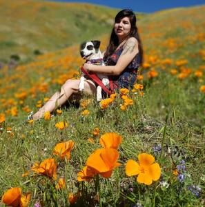 Meet your Posher, Celeste